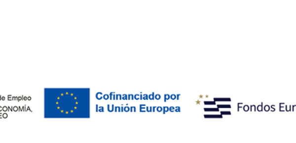 Proyecto de Fomento del Empleo Juvenil